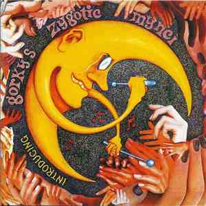Gorky's Zygotic Mynci - Introducing download free
