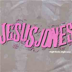 Jesus Jones - Right Here, Right Now download free
