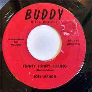Joey Mandel - Funny Funny Feeling download free