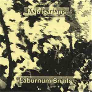 Matricarians - Laburnum Snails download free