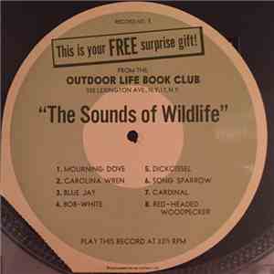 No Artist - The Sounds Of Wildlife download free