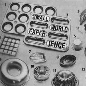 Small World Experience - Shelf-Life download free