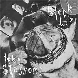 The Black Lips / Icky Blossoms - Cowboy Knights download free