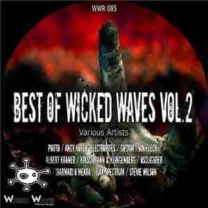 Various - Best Of Wicked Waves Vol.2 download free